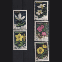 Заг. 4642. 1977. Цветы гор Сибири. чиСт.