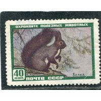 СССР 1959.. Фауна. Белка