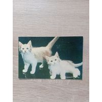 Календарик 1992