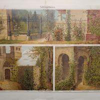 Хромолитография. Schlingpflanzen     Германия .     19-20в.