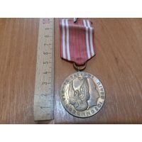 С РУБЛЯ! Медаль Республики Польша. "За заслуги при защите страны"