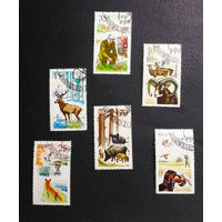 ГДР 1977 г. Охота. Фауна, полная серия из 6 марок #0236-Ф1P46