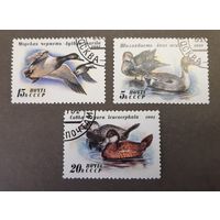 СССР. 1991 год. Фауна. Утки (3 марки)
