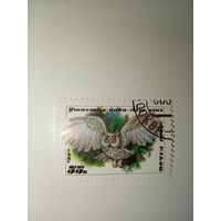СССР, 1990, СОВЫ, Ушастая сова
