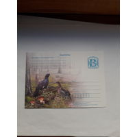 Почтовая карточка Беларусь 2010 глухарь
