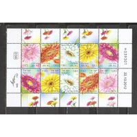 ФФ3 Израиль 2013 Цветы