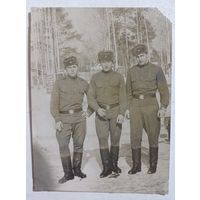 Фото в коллекцию