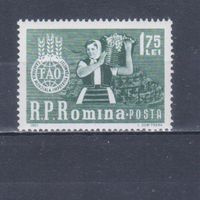 [451] Румыния 1963. Флора.Плоды.Ягоды.Фрукты.Сбор винограда. MNH