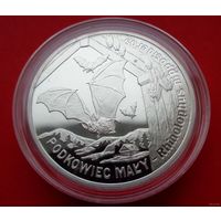 20 злотых 2010 Польша! Всемирная природа - Летучая мышь! Серебро 925 пробы 28,28 грамм 0,841 унции! ОБМЕН!