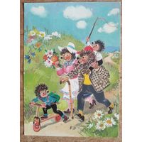 Ежики. Прогулка. Германия. Чистая.