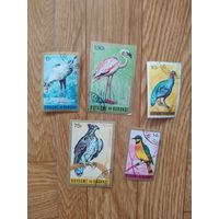 Бурунди марки 1965 г. Птицы