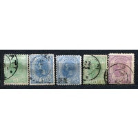 Король Карл I. Румыния. 1893. Серия 5 марок