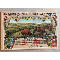 Германия 3 марки 1920 г Зюдербраруп (Schleswig-Holstein-Suderbrarup), 1294.3, UNC