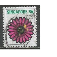 Сингапур. Цветы Юга Азии. Астры. 1973г. Mi#200.