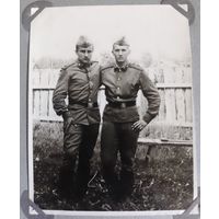 Фото в коллекцию