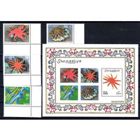 Морская фауна (звезды). Сомали. 2001. 4 марки и 1 блок. Michel N 896-899, бл80  (25.0 е)