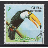 Куба 1989 Фауна Птицы Филателистическая выставка Brasiliana-89 в Рио-де-Жанейро