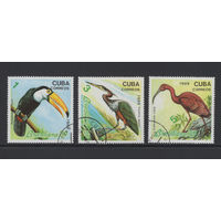 Фауна Птицы Куба 1989  Филателистическая выставка Brasiliana-89 в Рио-де-Жанейро Used