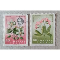 150лет со дня смерти знаменитого ученого П.Китайбель(Австрия).