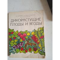 Дикорастущие  плоды и ягоды