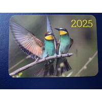 Календарик 2025 г.  Щурки.
