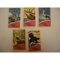 Спичечные этикетки. Рига