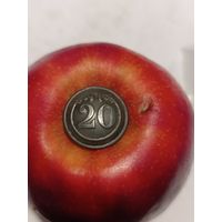 Пуговица Франция(Крымская компания)