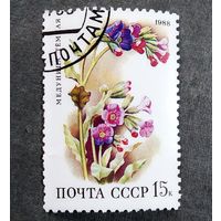 Марка СССР 1988 год Лесные цветы