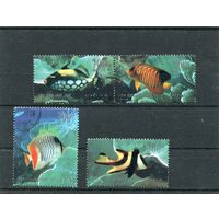 Китай. Морская фауна. Рыбы