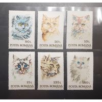 Румыния. 1993 год. Фауна. Кошки (637)