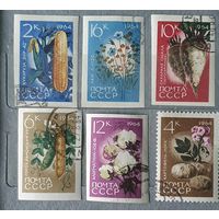 СССР овощи 6шт 1964г