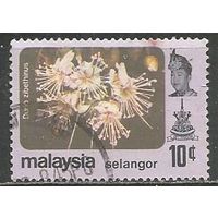 Малайские штаты(Селангор). Цветы. Дурман цибетиновый. 1979г. Mi#115.