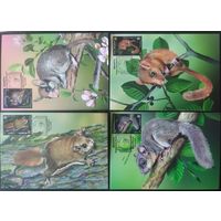 Беларусь 2021 КМ грызуны .