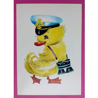 Утёнок. Чистая. 1984 года. Манилова. 2239.
