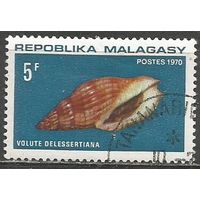Республика Мадагаскар. Ракушка молюска Волюта. 1970г. Mi#618.