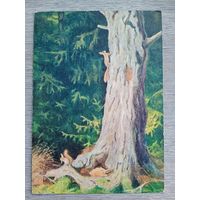 1954. Никольский. Белки