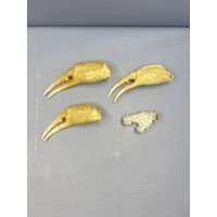 Клешни краба и маленький коралл