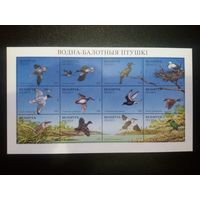 (Ф30-49) Фауна. Водно-болотные птицы + Утки. 1996. Листы с блоками