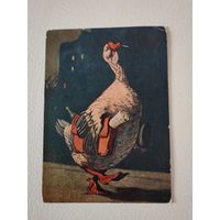Открытка"Гусь" худ. Литвиненко В. Г. Серия "Исчезающие разновидности птиц"