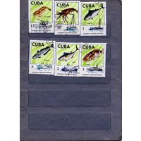 КУБА, 1975, РЫБЫ, КРЕВЕТКИ, серия 6м, гашен