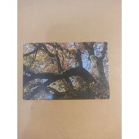 Календарь 1989/5