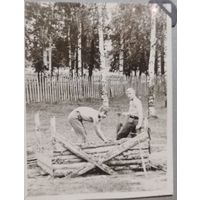 Фото в коллекцию