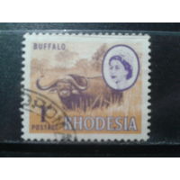 Родезия, 1966. Буйвол и королева Елизавета II
