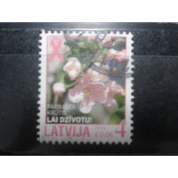 Латвия, 2013. Яблоневый цвет