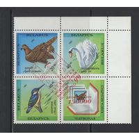 Фауна птицы Беларусь 1993 квартблок надпечатка "Ибра-1999" Всемирная филателистическая выставка в Нюрнберге