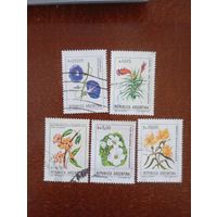 Флора аргентина из серии стандарт