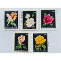 Марки  Розы  Венгрия  1982  5  шт. - 3,00 руб.