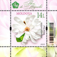 Молдова 2025. Флора. Цветы магнолия блок (941)