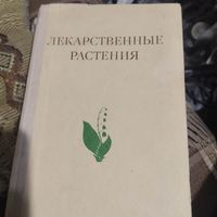 Лекарственные растения-растения целители.