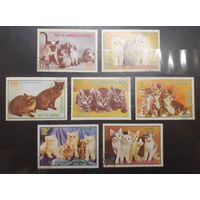 Экваториальная Гвинея. Фауна. Кошки (616)